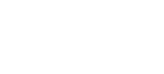 FEM